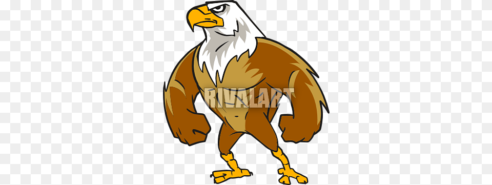 Eagle Clipart Tough, Animal, Bird, Beak, Adult Png Image