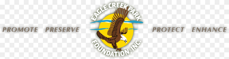 Eagle Creek Park Foundation Hd Download, Logo Png Image