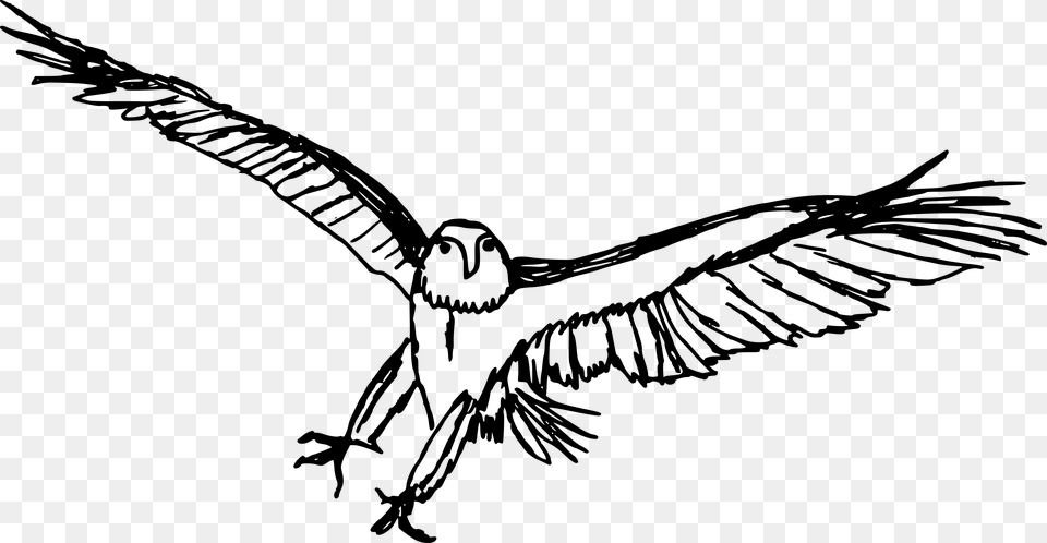 Eagle Drawing, Gray Png Image