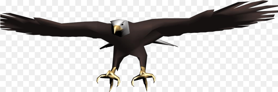 Eagle Eagle, Electronics, Hardware, Animal, Beak Free Png