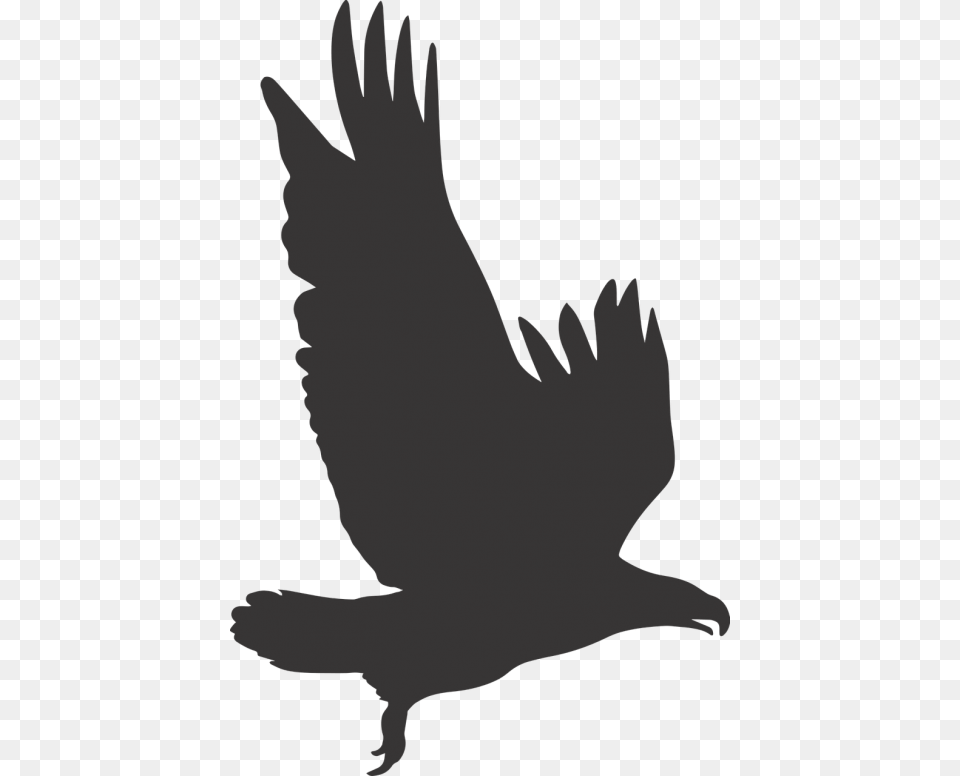 Eagle Eagle Silhouette Silhouette Silhouette Eagle Clipart, Animal, Bird, Flying, Baby Free Transparent Png