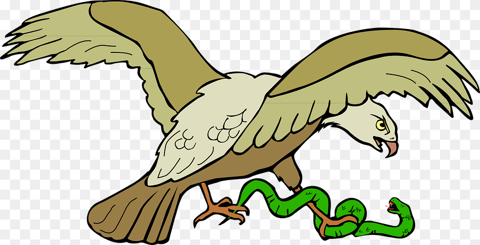 Eagle Eating Snake Clipart, Animal, Bird Free Png