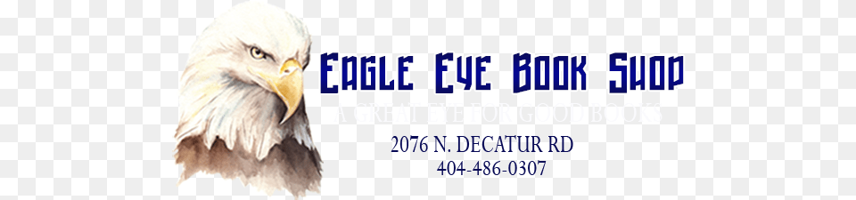 Eagle Eye Book Shop, Animal, Beak, Bird, Bald Eagle Free Transparent Png