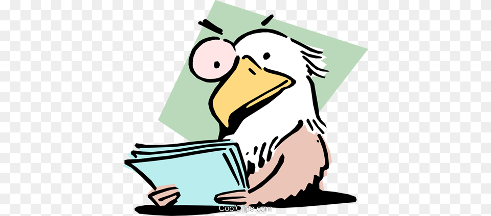 Eagle Eyed Royalty Free Vector Clip Art Illustration, Animal, Bird, Waterfowl, Beak Png