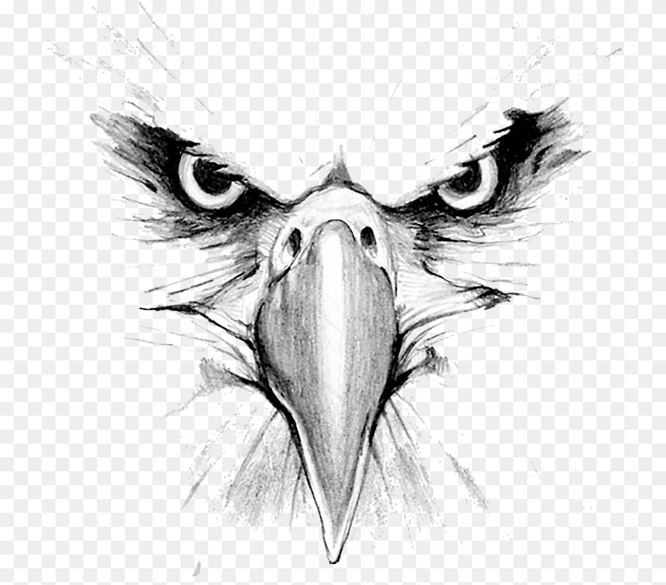 Eagle Face Tattoo Design, Animal, Beak, Bird, Art Png Image