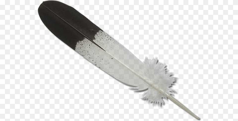Eagle Feather, Blade, Dagger, Knife, Weapon Free Png