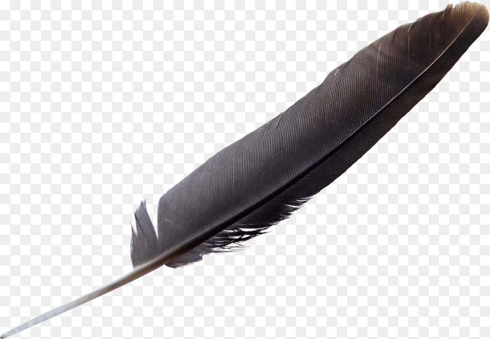Eagle Feather, Bottle, Blade, Dagger, Knife Png Image