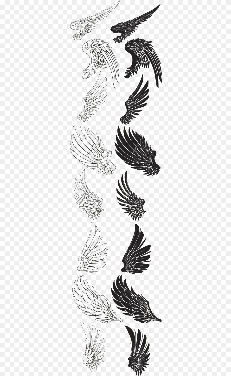 Eagle Feather Drawing Wings Brush Eagle Wings, Animal, Bird, Text Free Transparent Png