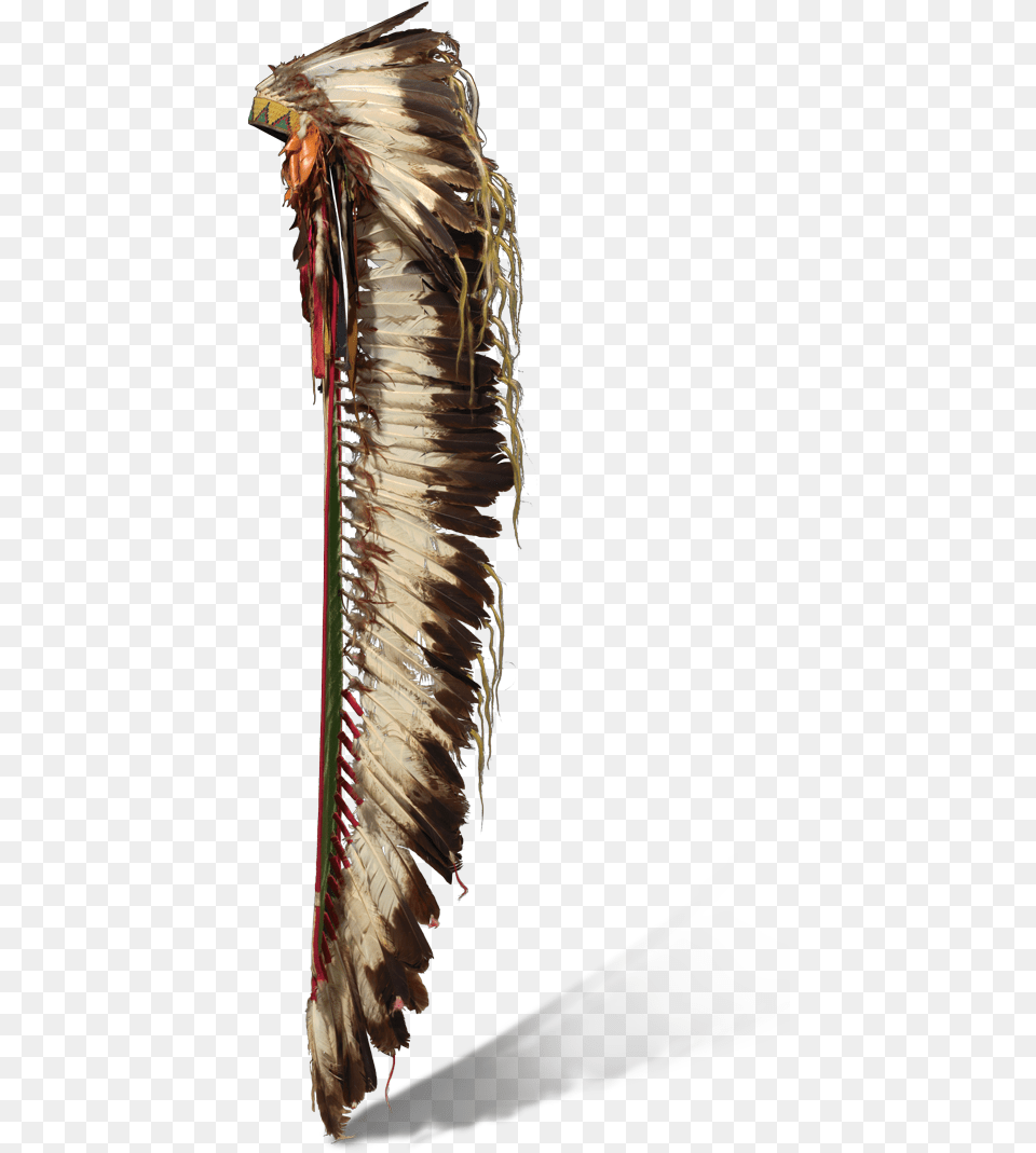 Eagle Feather Headdress, Animal, Bird Free Transparent Png