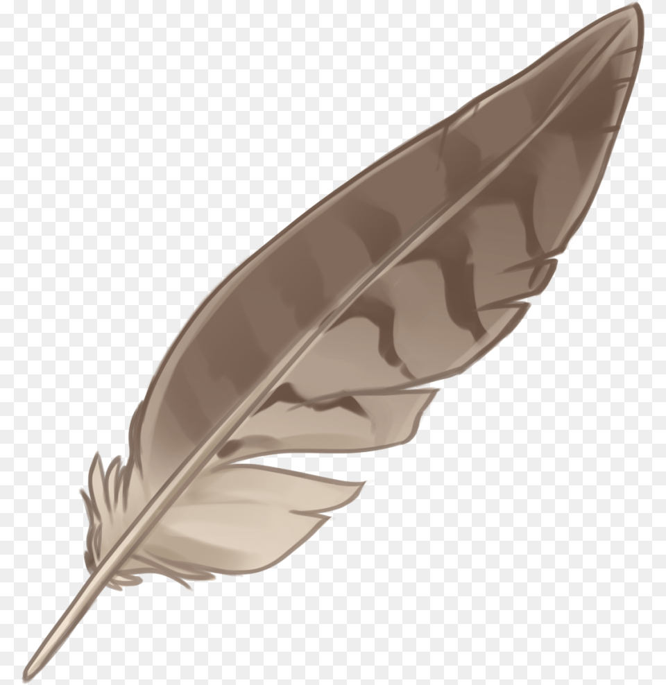 Eagle Feather Law Portable Network Graphics Native Native American Feather, Leaf, Plant, Blade, Bottle Free Png