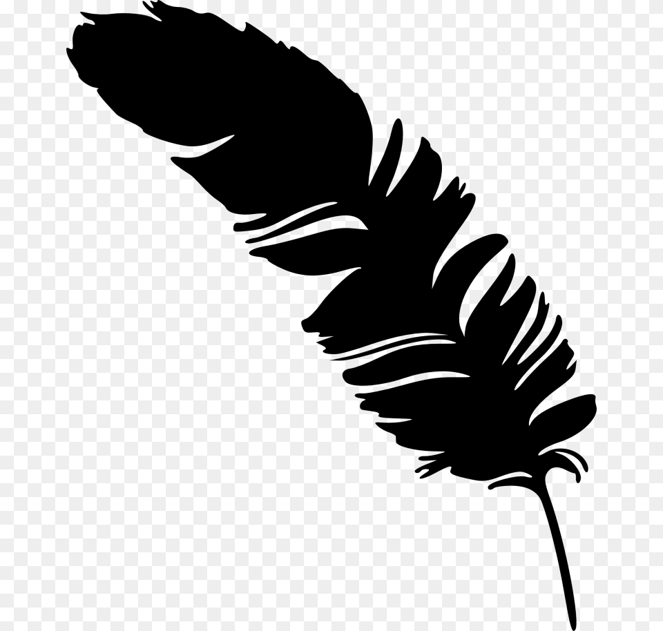 Eagle Feather Vector Feather Silhouette, Gray Png Image