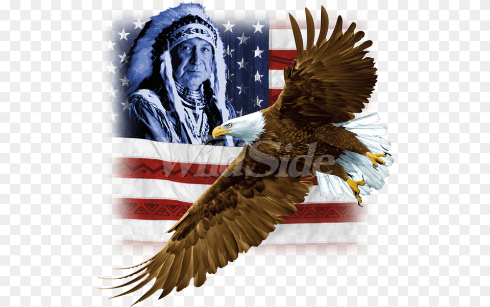 Eagle Flag Picture Hawk, Animal, Bird, Adult, Person Free Transparent Png