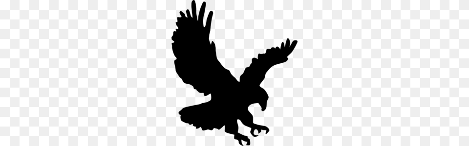 Eagle Flying Clip Art, Gray Png