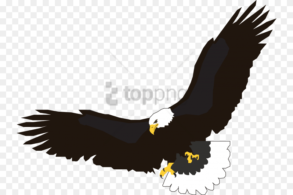 Eagle Flying Images Background Clip Art Soaring Eagle, Animal, Bird, Bald Eagle, Fish Free Png Download