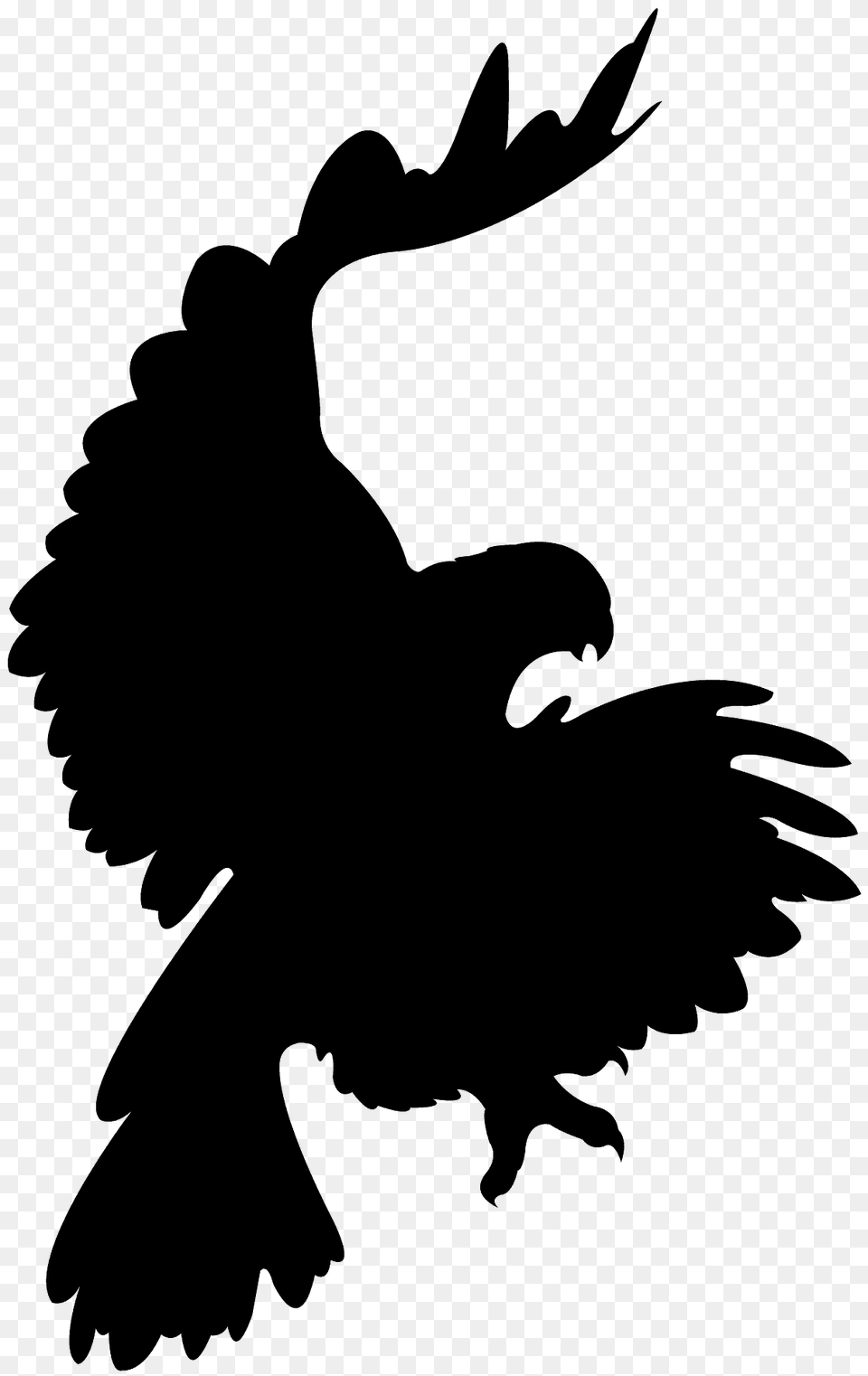 Eagle Flying Silhouette, Animal, Bird, Vulture, Blackbird Free Transparent Png