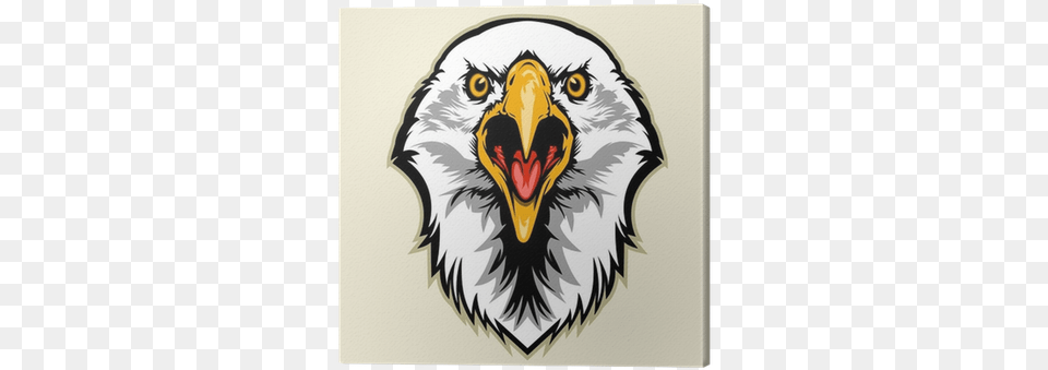 Eagle Front View Drawing Head, Animal, Beak, Bird, Bald Eagle Png Image