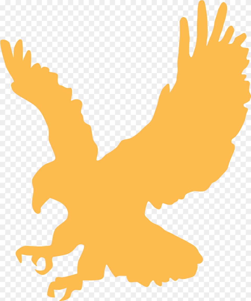 Eagle Gold Wings Animal Landing, Baby, Person, Bird Png Image