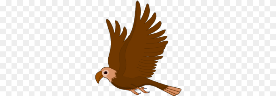 Eagle Golden Eagle, Animal, Beak, Bird, Kite Bird Free Png