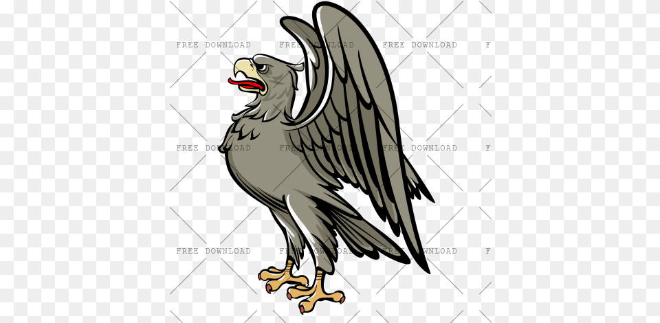 Eagle Hawk Bird Image With Birds Transparent Background, Animal, Beak, Vulture, Kite Bird Free Png