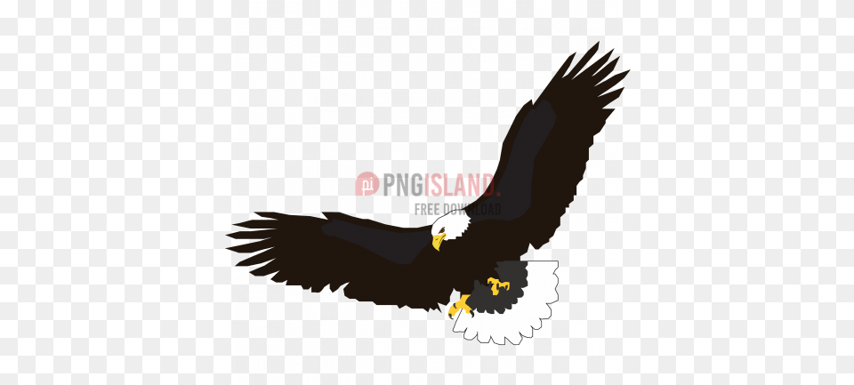 Eagle Hawk Bird With Village Elementary School Emporia Ks, Animal, Bald Eagle, Flying, Dinosaur Free Transparent Png
