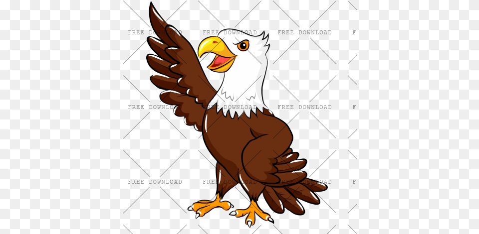 Eagle Hawk Kite Bird Image With Background Turkey, Animal, Beak, Person, Bald Eagle Free Transparent Png