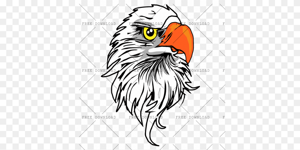 Eagle Hawk Kite Bird Image With Transparent Background Bike Sticker On Head, Animal, Beak, Person, Bald Eagle Free Png Download