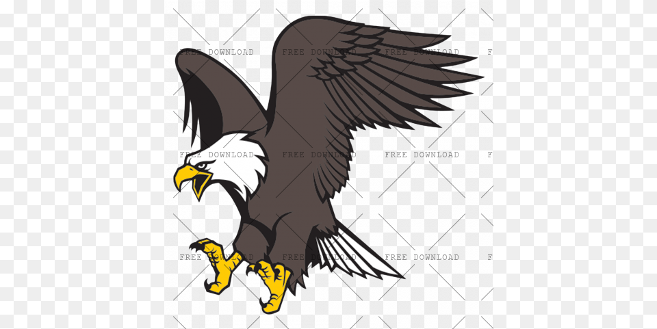 Eagle Hawk Kite Bird Image With Transparent Background Eagle Bird Transparent Background, Animal, Beak, Electronics, Hardware Free Png Download