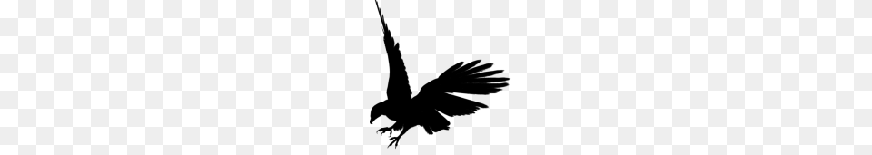 Eagle Hd, Gray Free Png Download