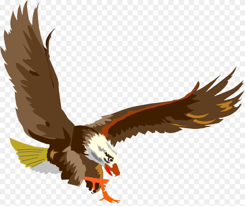 Eagle Hd Photos, Animal, Bird, Flying Free Png Download