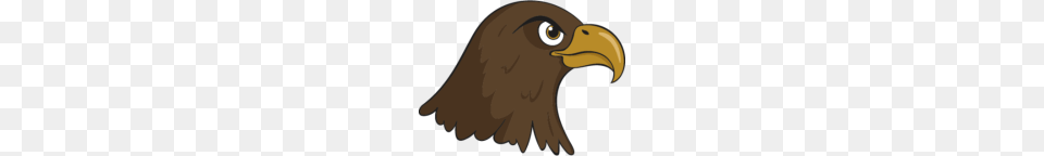 Eagle Head, Animal, Beak, Bird, Person Free Png Download