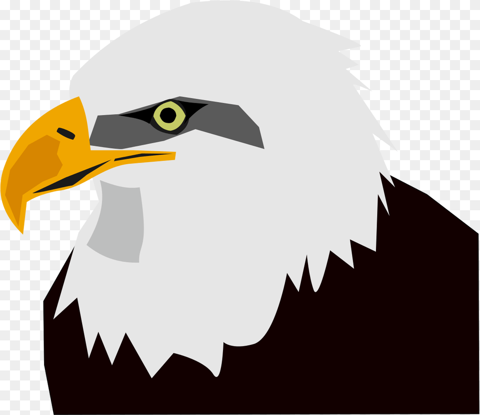 Eagle Head, Animal, Beak, Bird, Bald Eagle Png