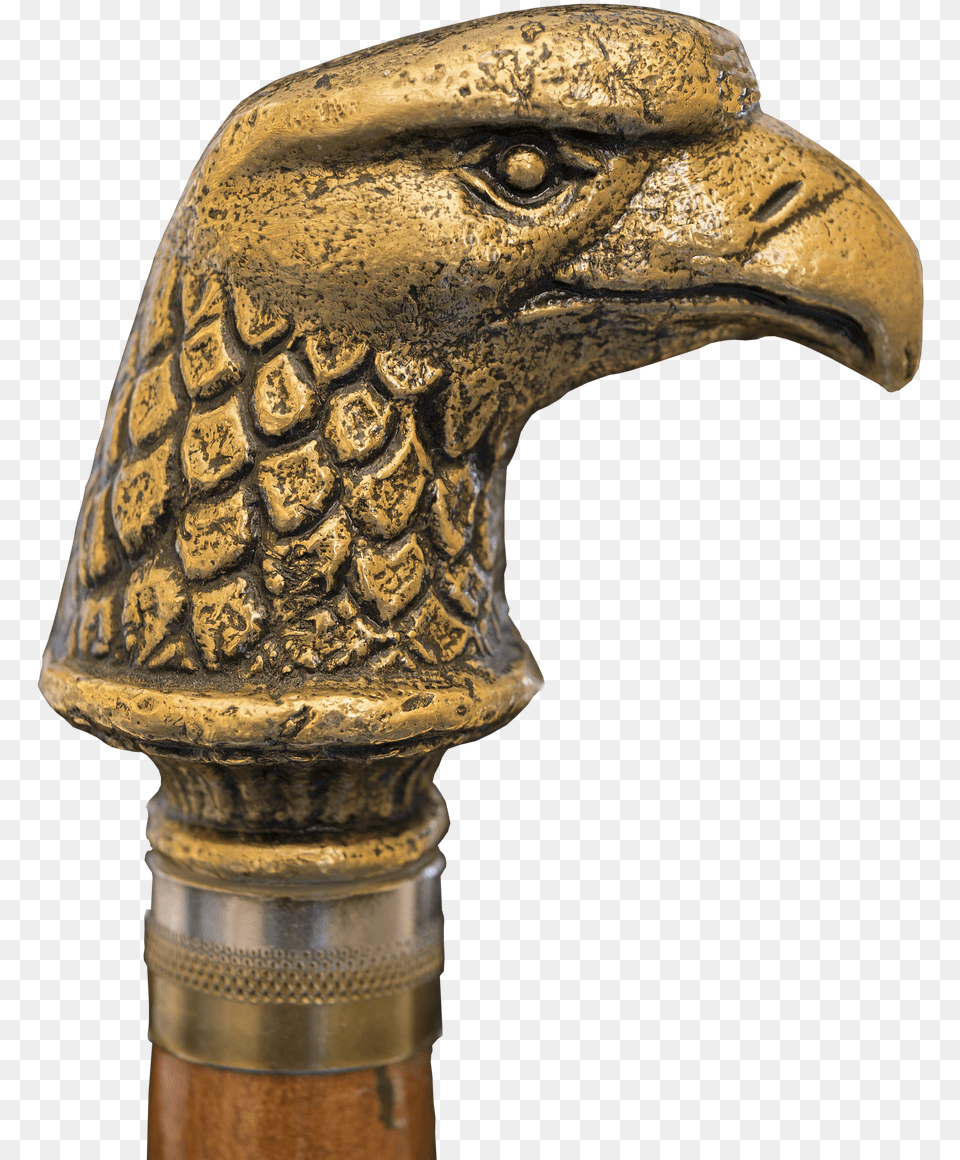 Eagle Head Brass Old Hawk, Stick, Cane, Animal, Dinosaur Png