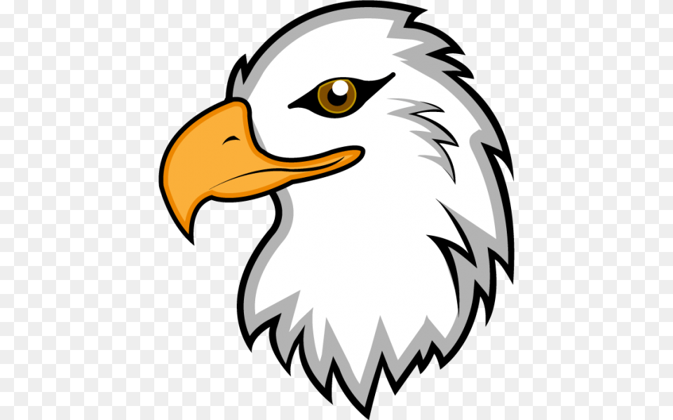 Eagle Head Clip Art, Animal, Beak, Bird, Bald Eagle Free Png