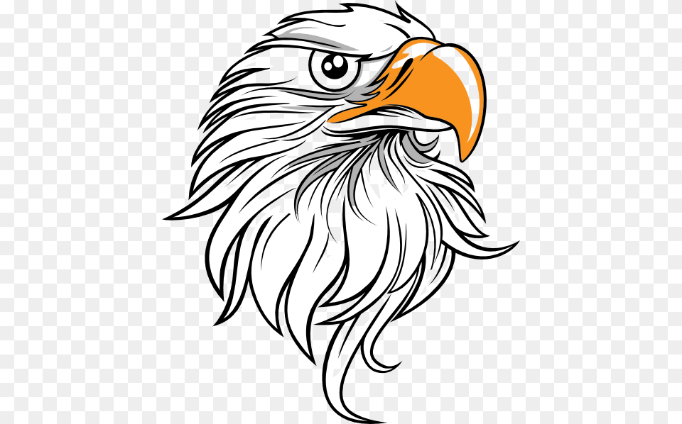 Eagle Head Clip Art, Animal, Beak, Bird, Adult Free Transparent Png