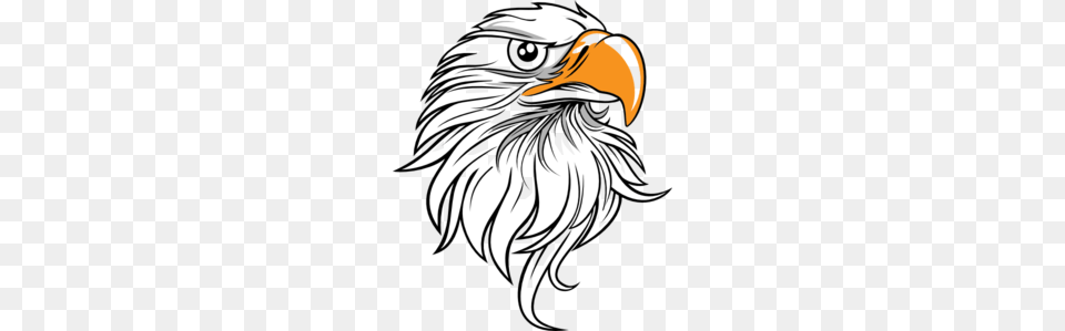 Eagle Head Clip Art Patterns Clip Art Eagle, Animal, Beak, Bird, Adult Free Png Download