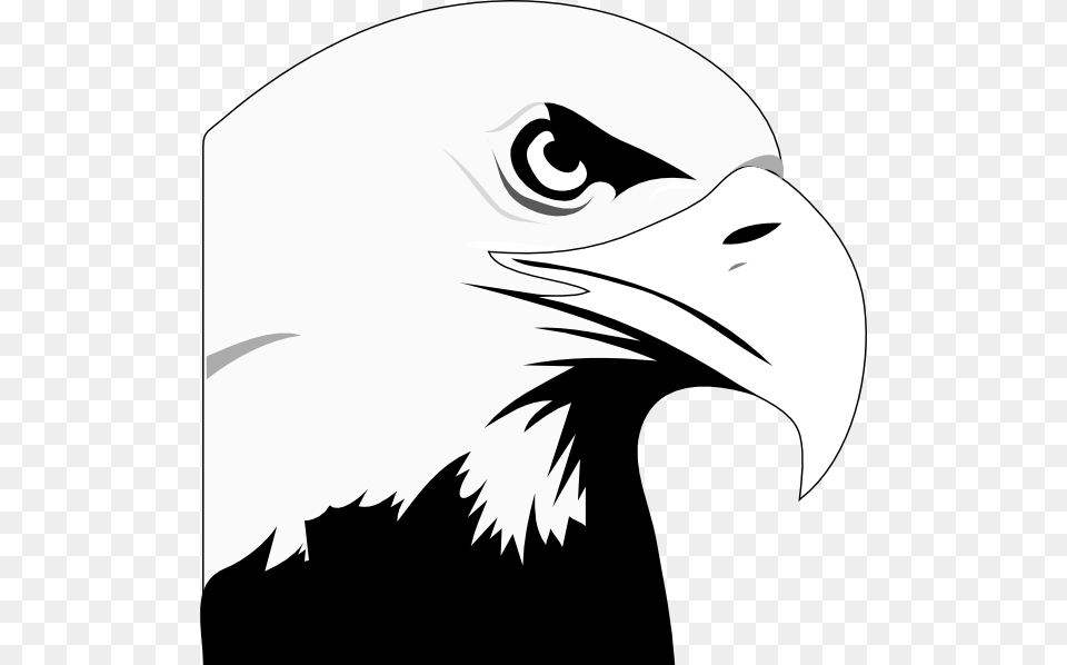 Eagle Head Clipart, Animal, Bird, Beak, Fish Png
