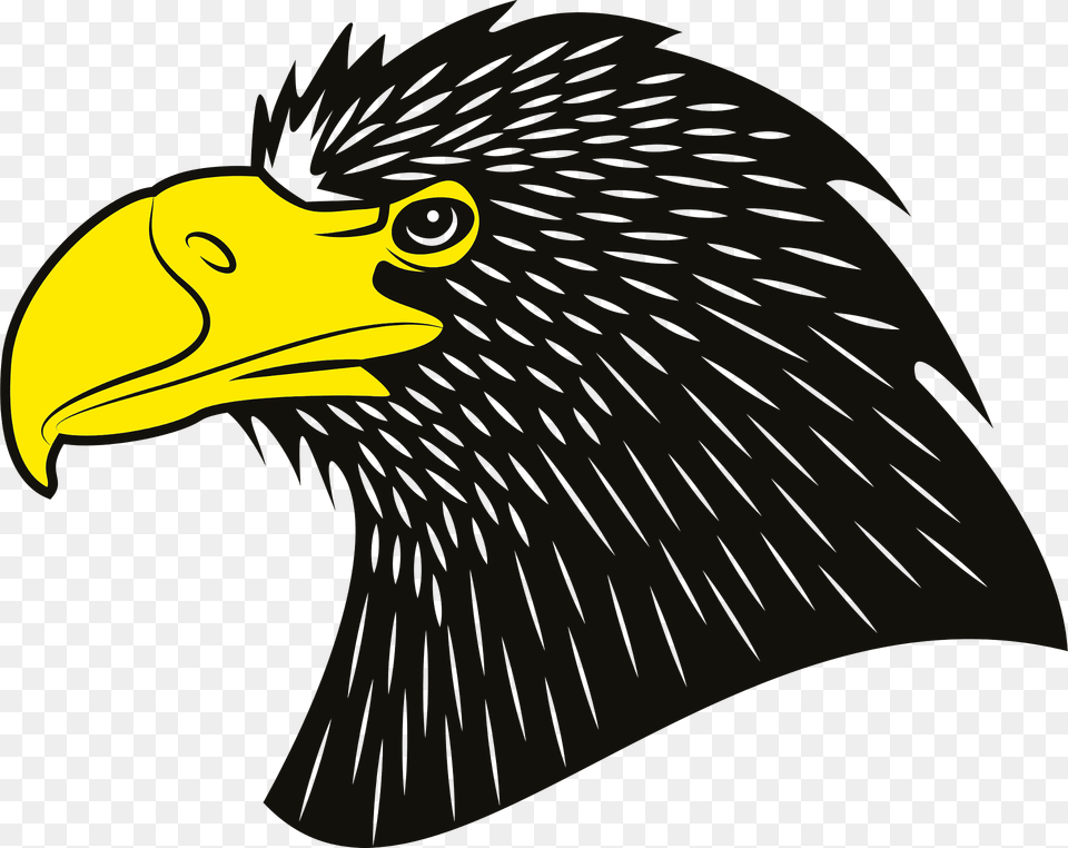 Eagle Head Clipart, Animal, Beak, Bird, Fish Free Transparent Png