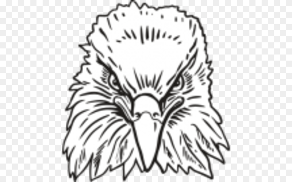 Eagle Head Front View, Animal, Beak, Bird, Person Free Transparent Png