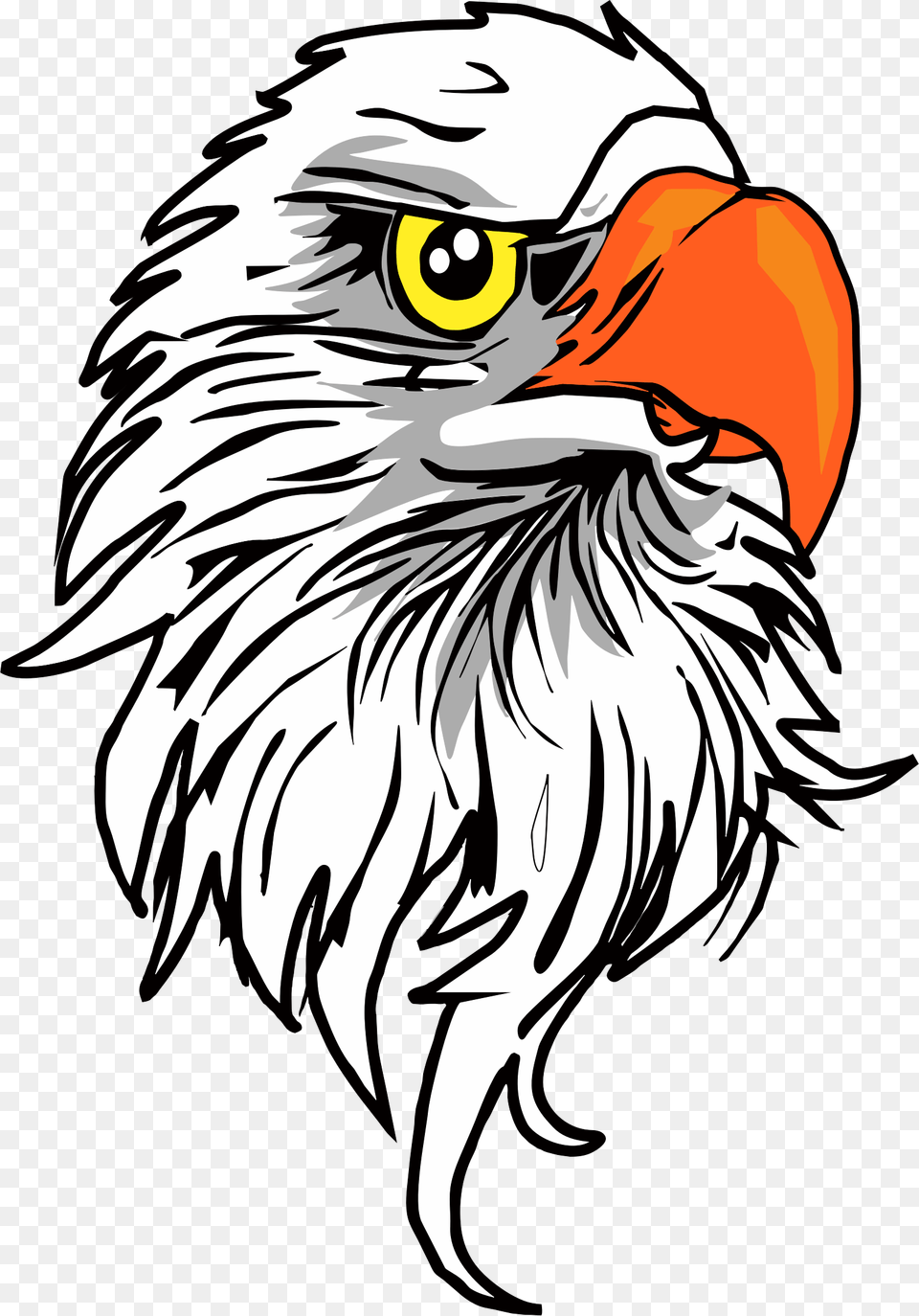 Eagle Head Icons, Animal, Beak, Bird, Person Png