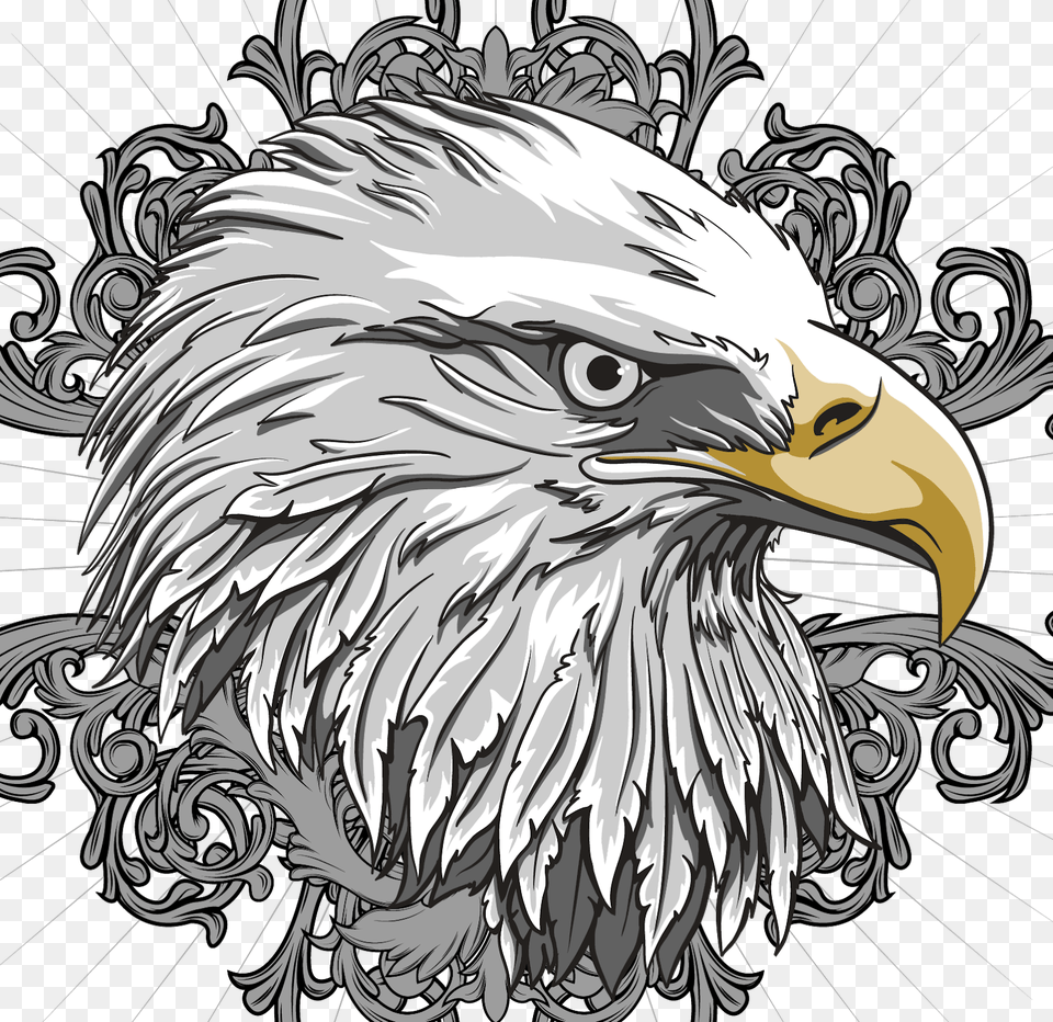 Eagle Head Logo, Animal, Beak, Bird, Bald Eagle Png