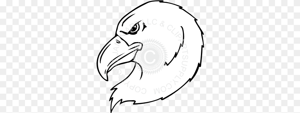 Eagle Head Looking Left Illustration, Animal, Beak, Bird, Vulture Png Image