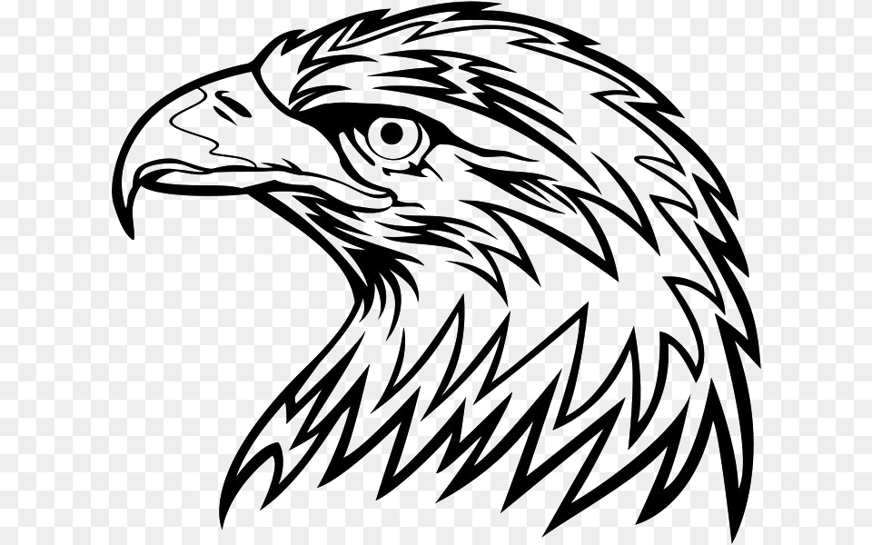 Eagle Head Picture Cool Black And White Clipart, Animal, Beak, Bird, Fish Free Png Download