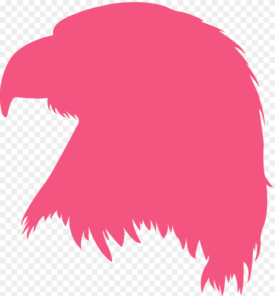 Eagle Head Silhouette, Animal, Bird, Vulture, Beak Free Png Download