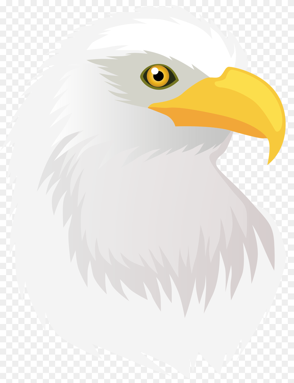 Eagle Head Clip Art, Animal, Beak, Bird, Bald Eagle Free Transparent Png