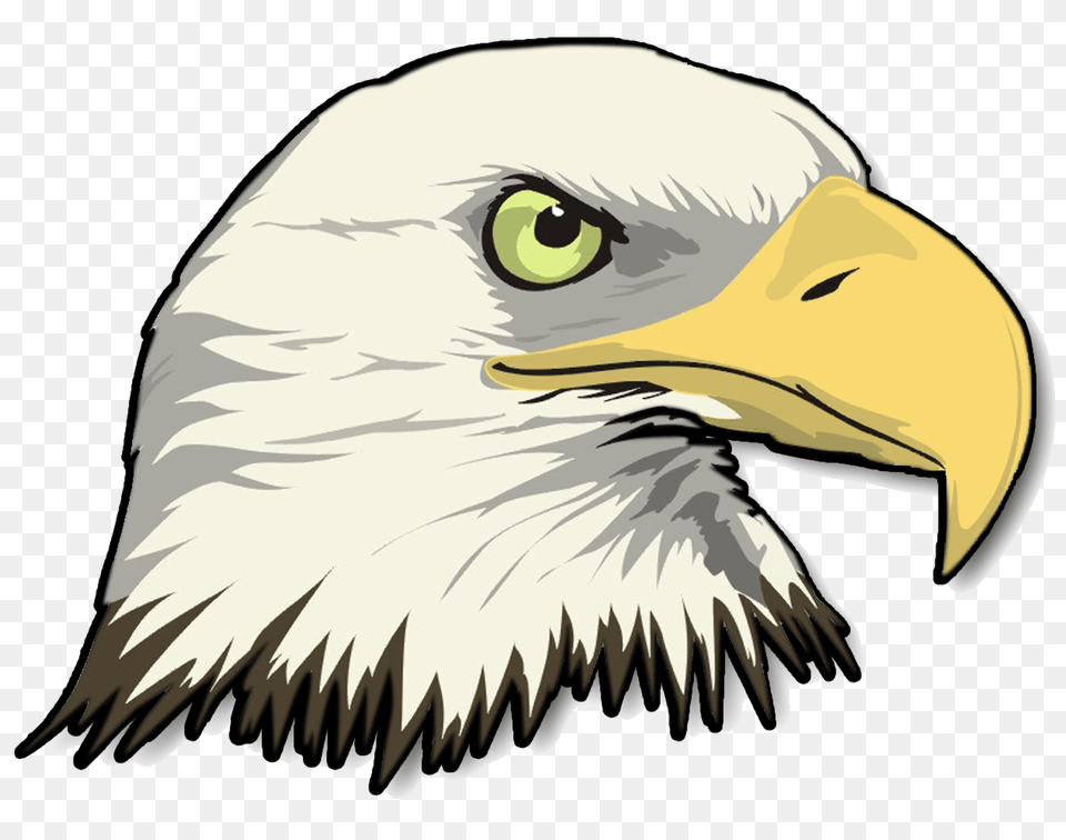 Eagle Head Image Arts, Animal, Beak, Bird, Dinosaur Free Transparent Png