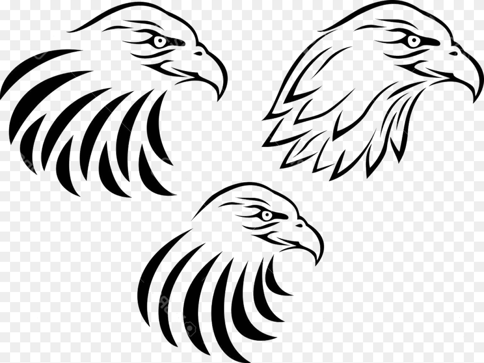 Eagle Head Vector Art Clipart Black And White Transparent, Animal, Beak, Bird Free Png Download