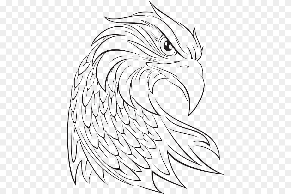 Eagle Head Vector Eagle Face Tattoo Designs, Animal, Bird, Art, Baby Free Png