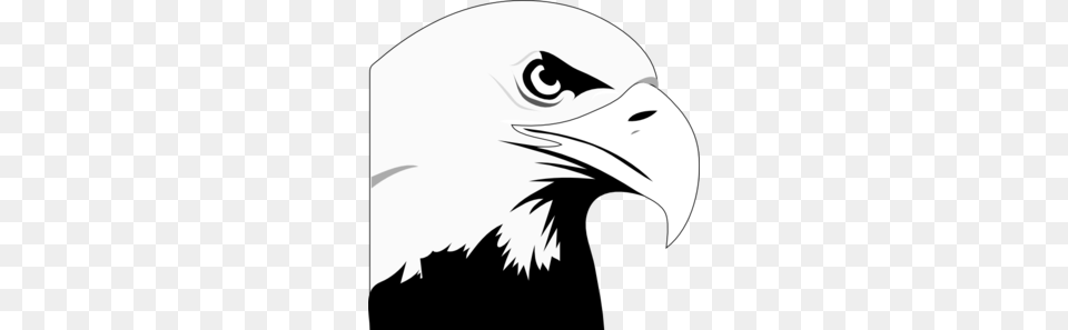 Eagle Icon Cliparts, Animal, Beak, Bird, Bald Eagle Png Image