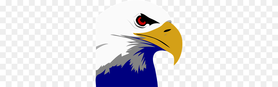 Eagle Icon Cliparts, Animal, Beak, Bird, Bald Eagle Png