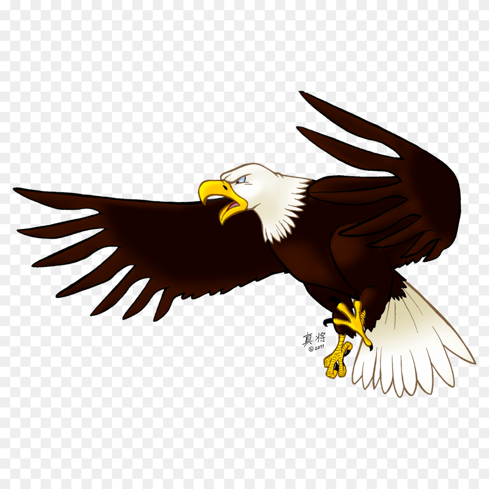 Eagle Image Picture Download, Animal, Beak, Bird, Flying Free Transparent Png
